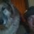 Eli Brda's profile image