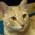 Donna Kennedy's profile image