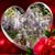 Patty Schuster Johnson's profile image