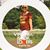 Sandy Finch Stow's profile image