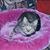 Ted N Cathy Szczerbin's profile image