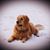 Valerie Greco's profile image