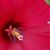 Sue Delle Ellis's profile image