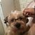 Daisy Mae's profile image