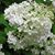 Mary Owens Hermansen Katayama's profile image