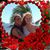Jennifer Chewning Stokes's profile image