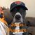 Jim Schroeder's profile image