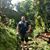 Kevin Lacey's profile image