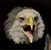 Chad E. Borsheim's profile image