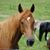 Deb Gray's profile image