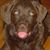 Elizabeth Anderson's profile image