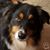 Monica Craig's profile image