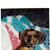 Bj Gasparre's profile image