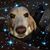 Karen Crick's profile image