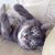 Linda Allen Clifton's profile image