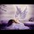 Geanina Bossi's profile image