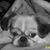 Michelle Lee Coughlin's profile image