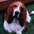 Kathy Sexton's profile image