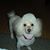 Kelley Magrini's profile image
