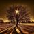 Penny Poole's profile image