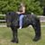 Connie Hinkle's profile image