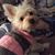 Carol Yeager Laplant's profile image