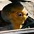 D.r. Reist's profile image