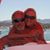 Janice Leese's profile image