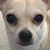Lori Babbage's profile image