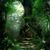 Laurie Choate's profile image