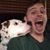 Matthew Davis's profile image