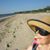 Bonnie Lowe Wingate Jackson's profile image