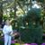 Karen Esslinger's profile image