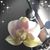 Renee Schnieder's profile image