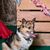 Janet Griffin's profile image