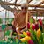 Janet L. Tatje's profile image