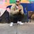 Cody Castellano's profile image