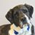 Arlo St Dane's profile image