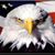 Keith Stephens's profile image