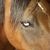 Randy Nix's profile image
