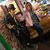 Jill Budeit Daugherty's profile image