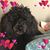 Jenny Reaves's profile image
