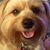 Sandy DeMarais Hildesheim's profile image