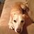 Jan Puckett's profile image