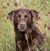 Tom Looby's profile image