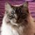 Nancy Magee's profile image
