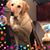 Lisa Garrett's profile image
