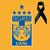 Jurgen Damm's profile image
