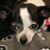 Patty Ralabate's profile image