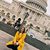 Kelsi Constant's profile image